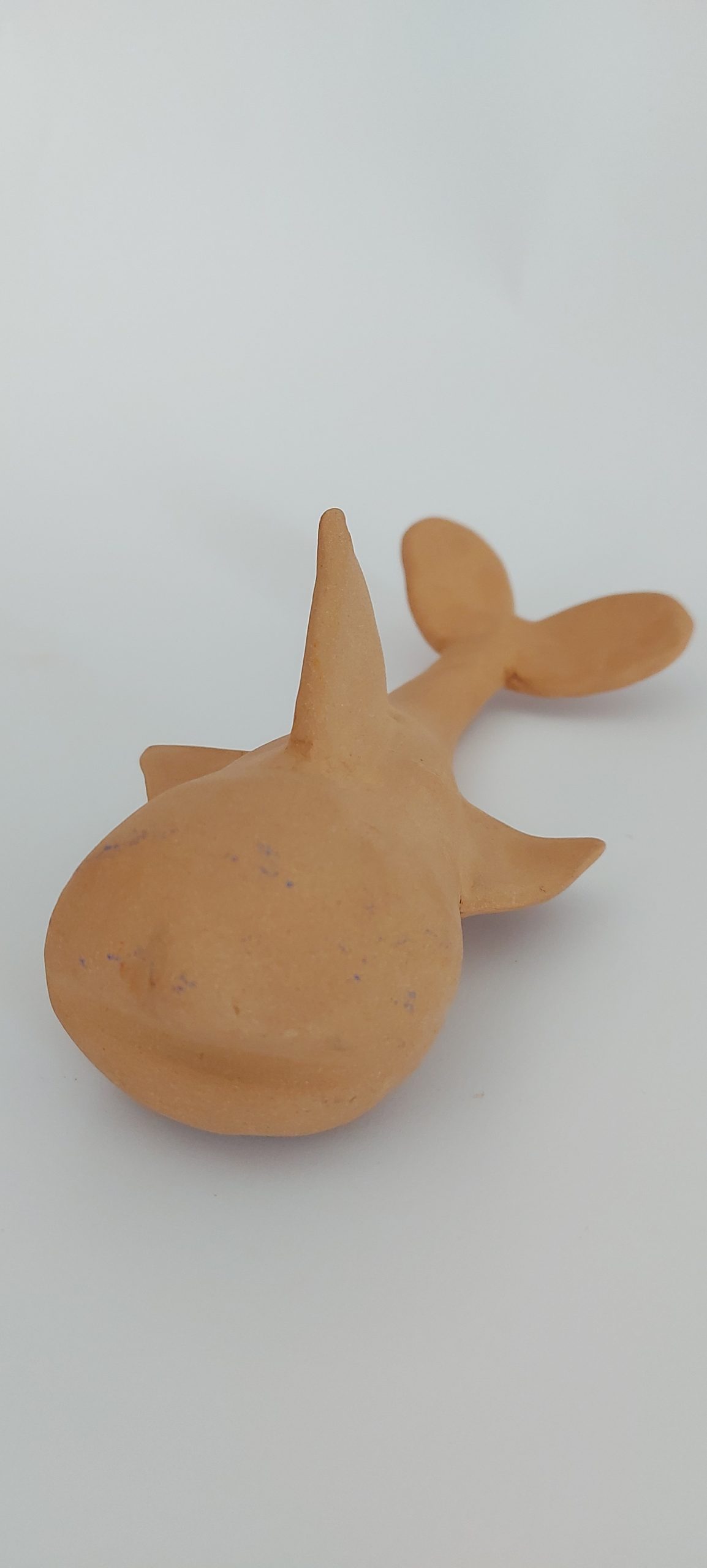 Balenottera