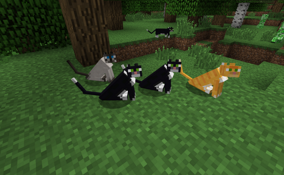 gatto-minecraft