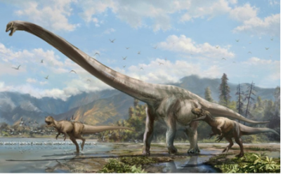dinosauro-lungo-collo-cina-400x248